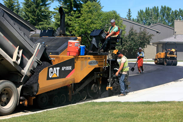 Best Custom Driveway Pavers  in Palmdale, CA